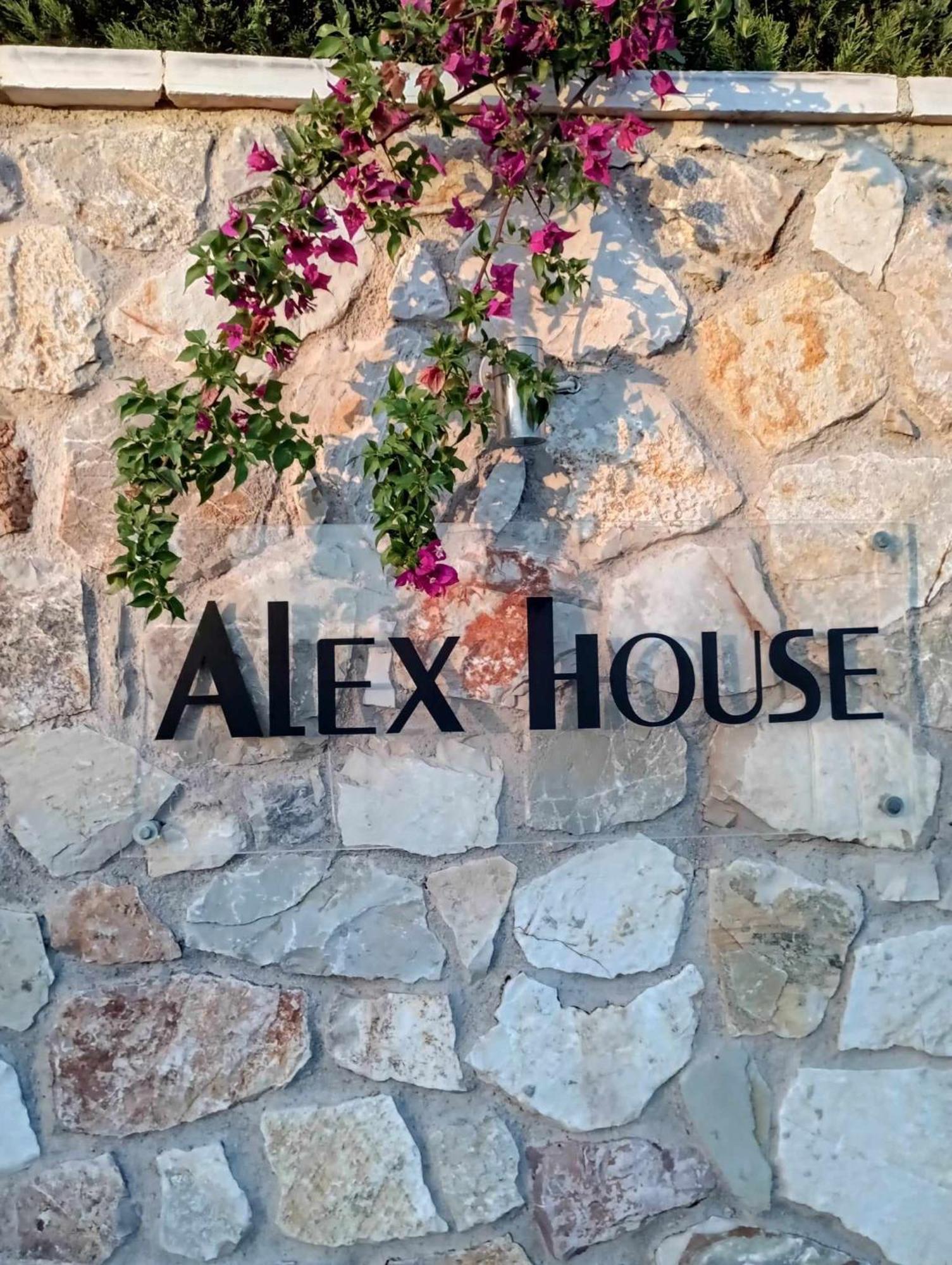 Alex House Lejlighedshotel Zacharo Eksteriør billede